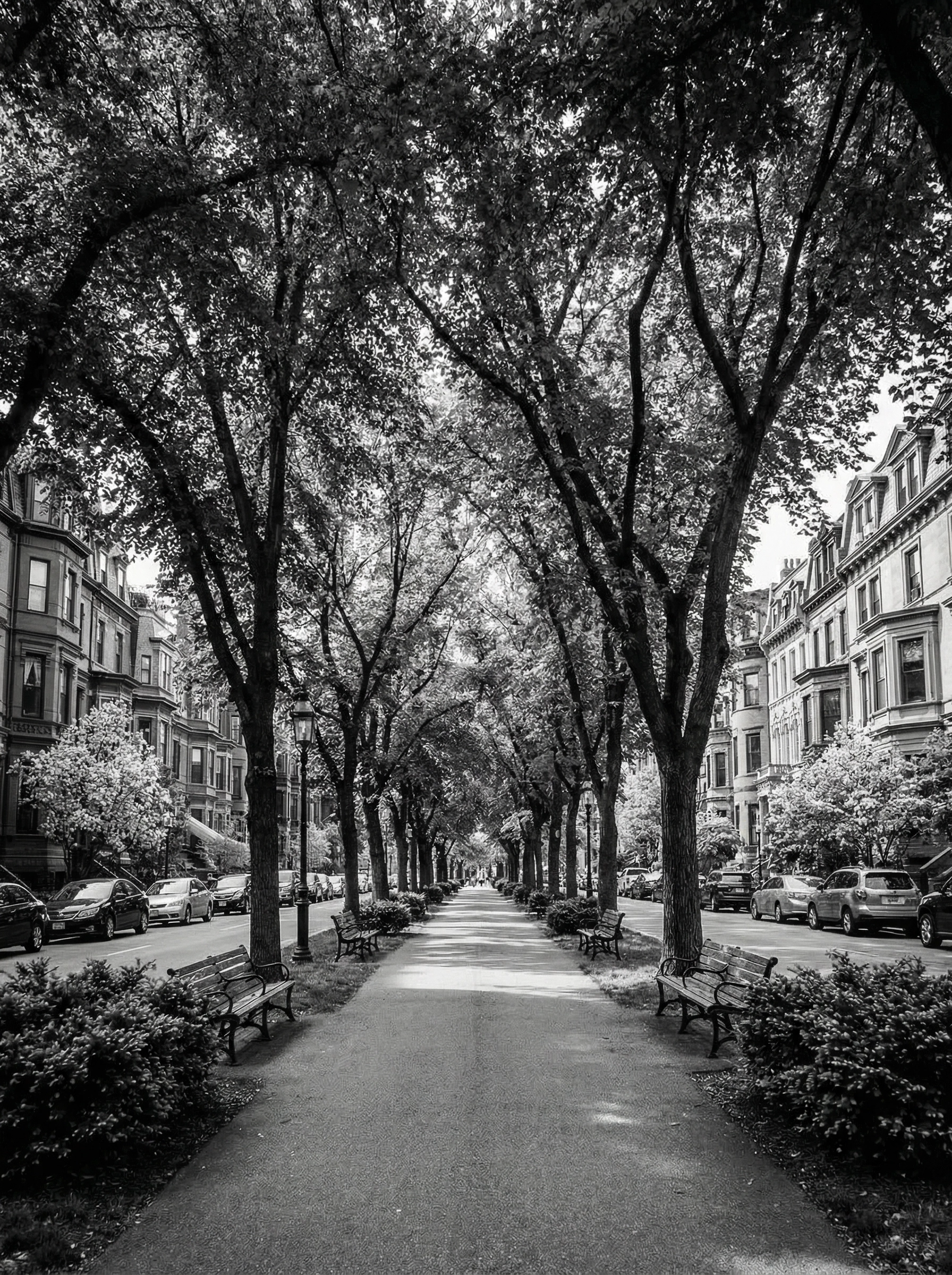 Commonwealth Avenue brownstones and tree-lined mall in Back Bay Boston
