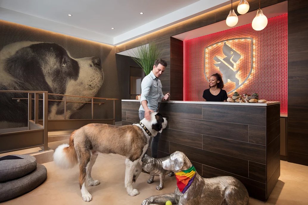 MiMa NYC Dog City luxury pet center with grooming spa and pet play area for residents