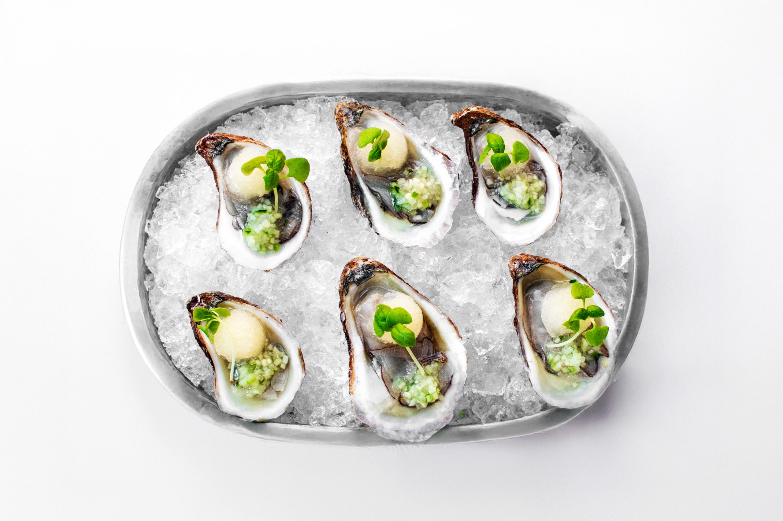 Fresh oysters at Sorellina Back Bay