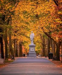Commonwealth Avenue Mall in Back Bay Boston — tree-lined promenade with historic brownstones